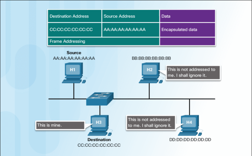 Ethernet_Addressing.gif-381.1kB