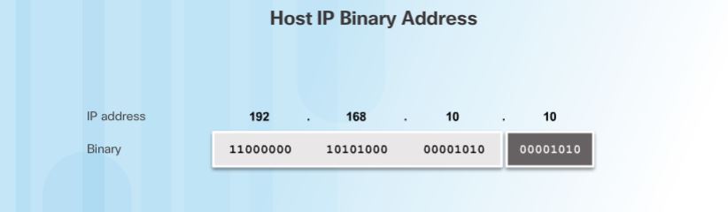 Figure 2. Host IP Binary Address