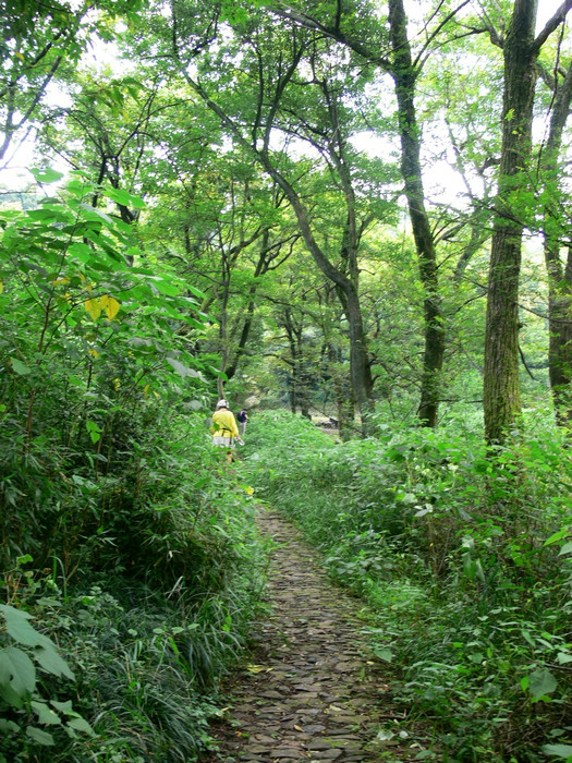 34F89E78-09DE-43F7-8D62-0B9EE137C38F.png-1011.7kB