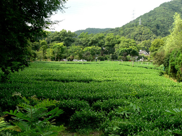 9A58B811-3306-4E70-9D2C-12917873A8CF.png-663.3kB