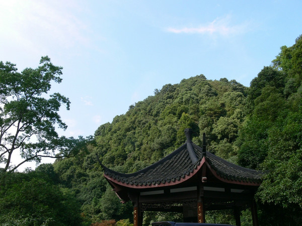 169C7F40-9C4E-434D-B9A5-12B195B4715F.png-511.8kB