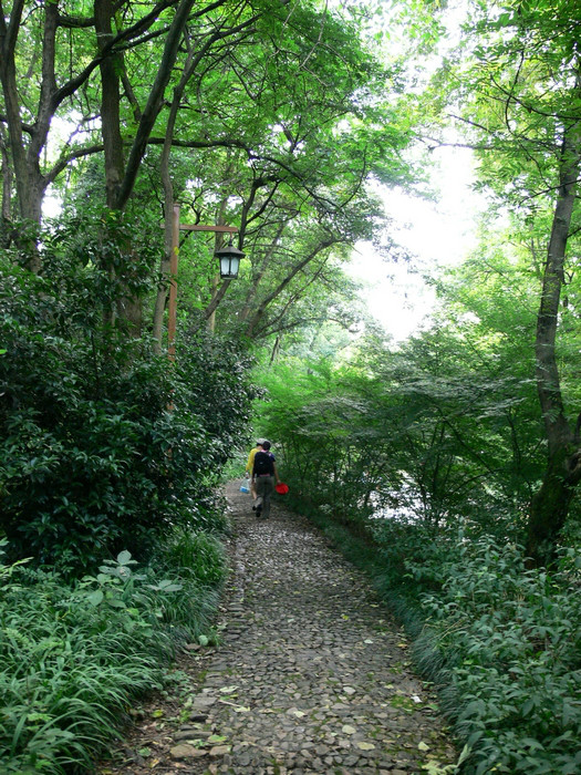 30624EA2-9DFB-4043-9B00-020637487F48.png-982.6kB