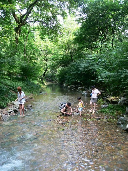 EF6D36B3-88E4-49D8-806B-85411D5EB526.png-975kB