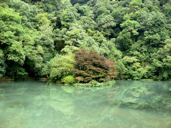 0F8BEA87-9A2B-47D4-A78B-ED4CE3A1E3AF.png-674.9kB