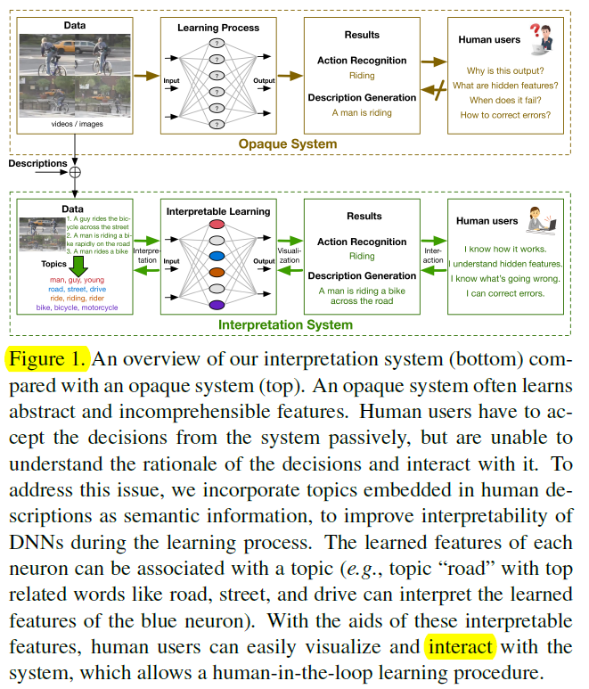 Scheme of Improving Interpretability of Deep Neural Networks with Semantic Information.png-226.1kB