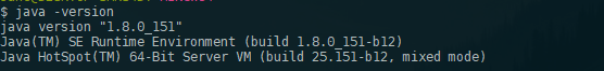 java-version