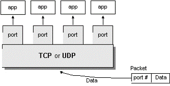 图片10.png-11.7kB