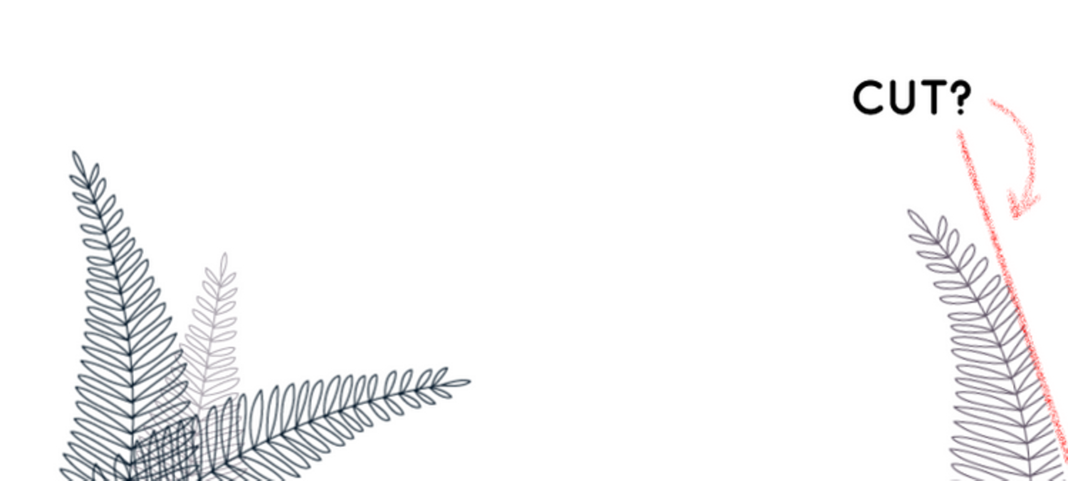 cut.png-362.3kB
