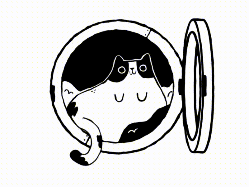 Cat Washer by MaxKravchenko for Motion Design School on Dribbble.gif-2906.8kB
