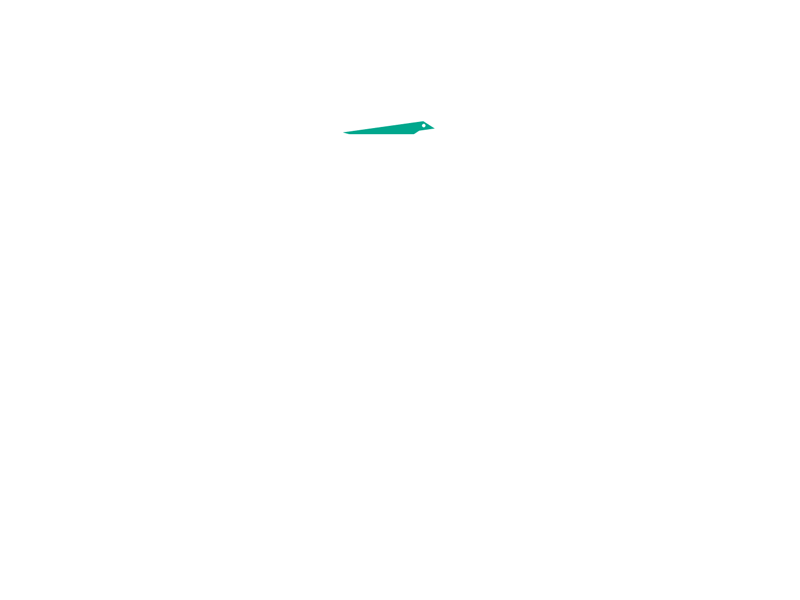 irra_gif_02.gif-309.8kB