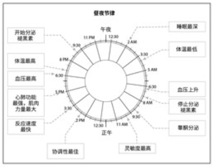 image_1ccdfoq4t96f12vn1vlf1dh113hum.png-156.4kB