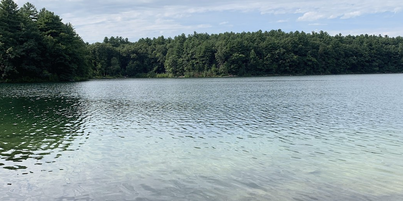 walden.png-581.9kB