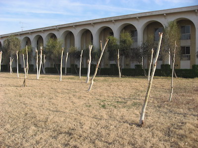 Abadan_021.JPG-53.8kB