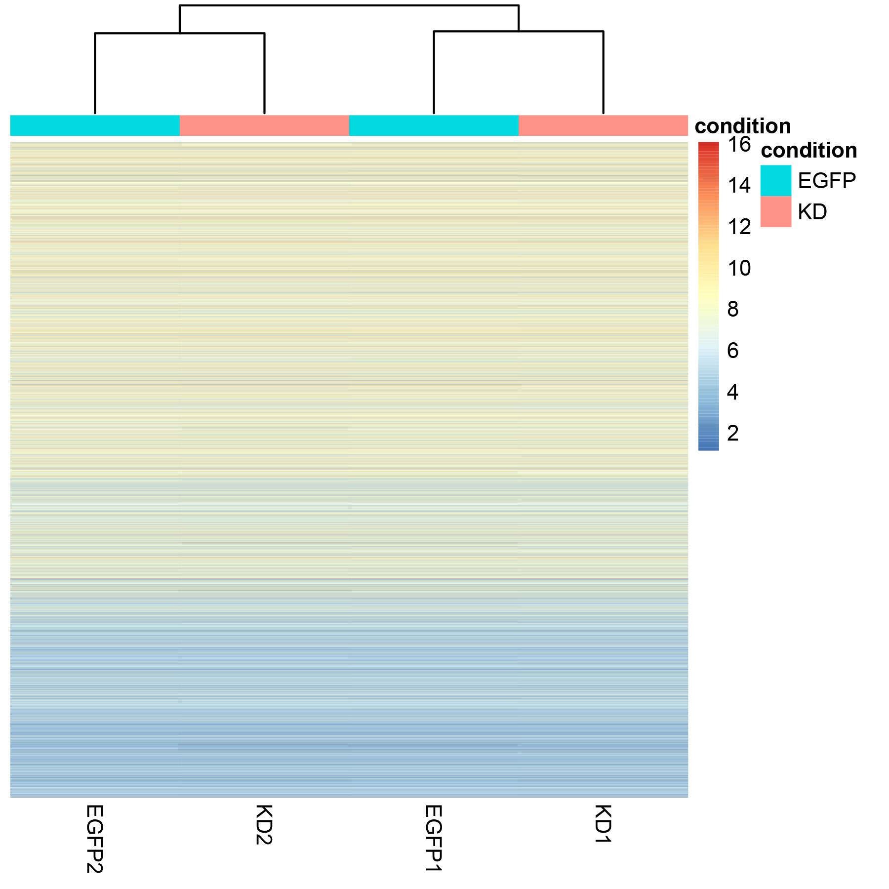 heatmap