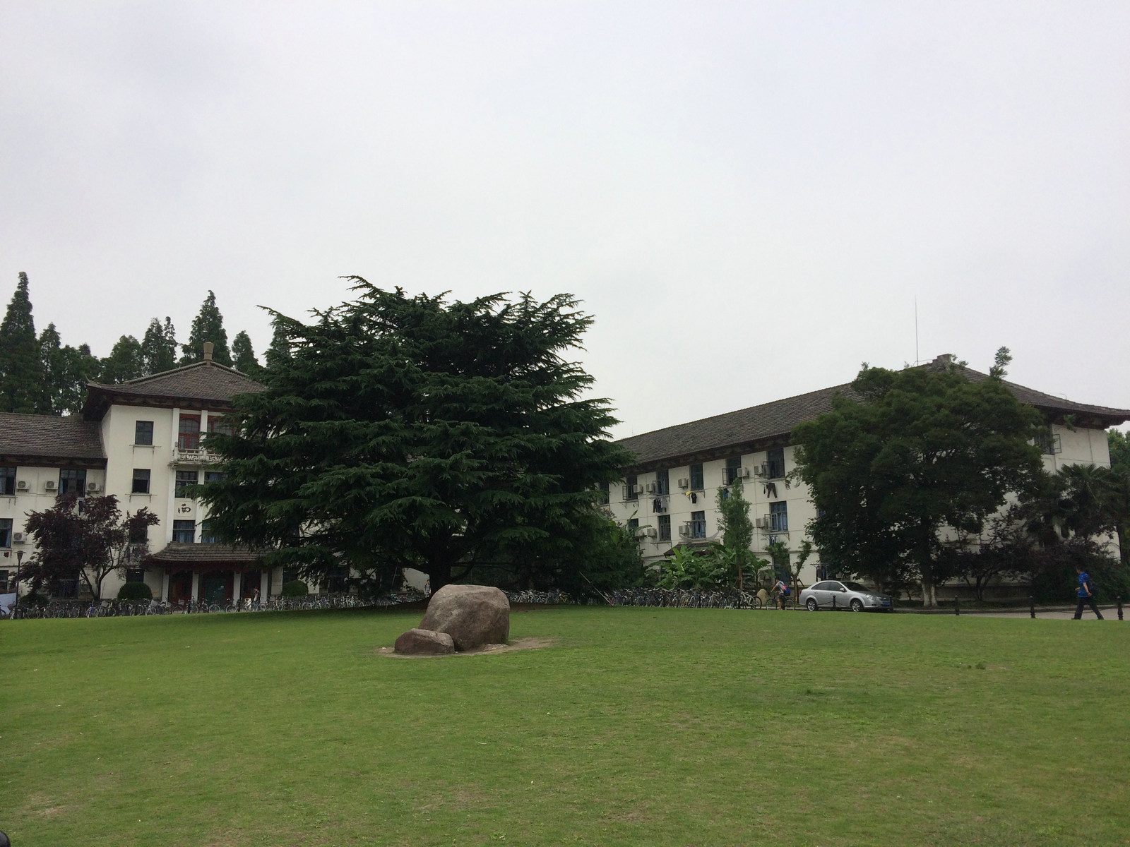 同济大学.JPG-407.2kB