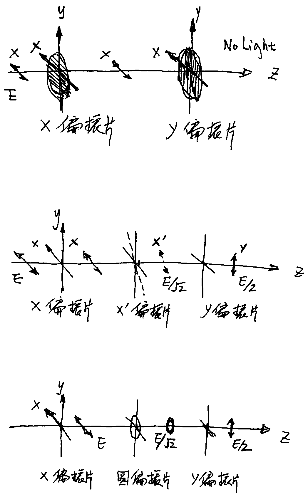 连续的偏振光实验