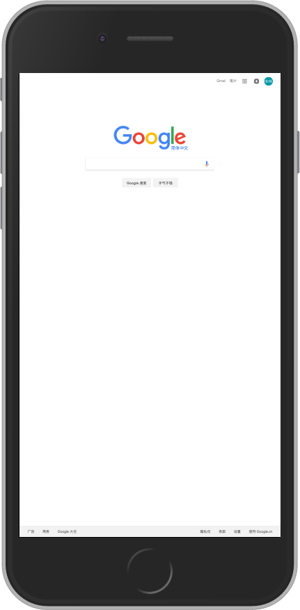 www.google.com-(iPhone 6).png-34.9kB