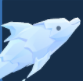 雪花海豚