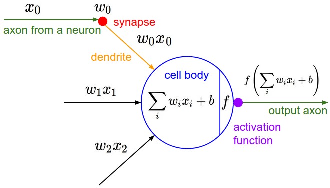 neuron_model.jpeg-36.9kB