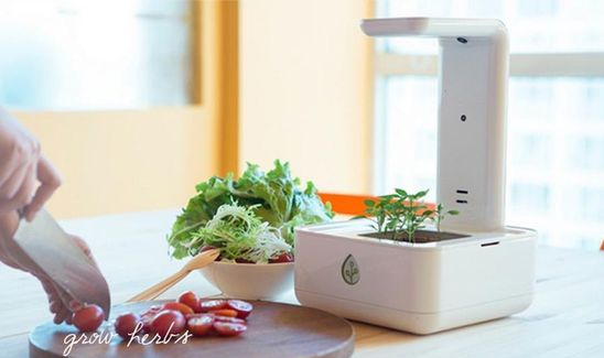 image_1bf47r3mu6hv1fg5kec8ff19j1g.png-218.1kB