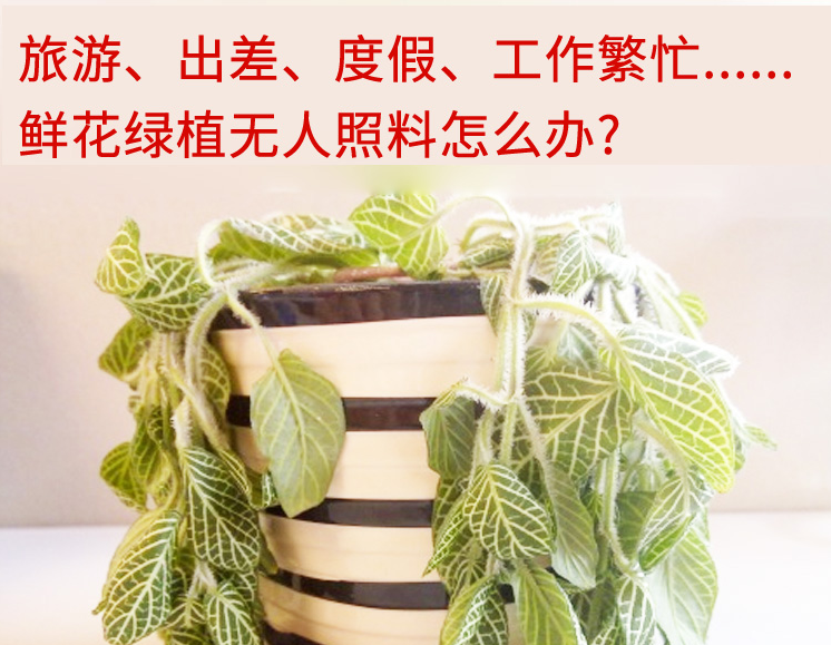 image_1bf48i9va1rsintjkmionu4vd3h.png-627.8kB