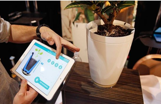 image_1bf47ip94qdr1kstfnq19d45eb9.png-332.6kB