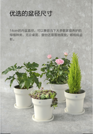 image_1bf493r6ctmht6f1qt21atu3ndc.png-389.8kB