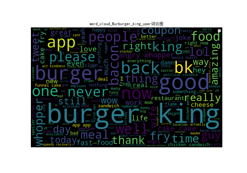 word_cloud_Burburger_king_user.png-338.2kB