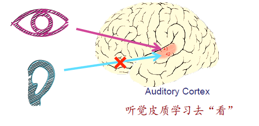 QQ截图20160811142405.png-75.5kB