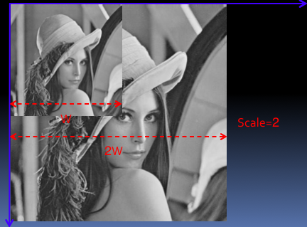 scale