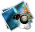 TP.png-9kB