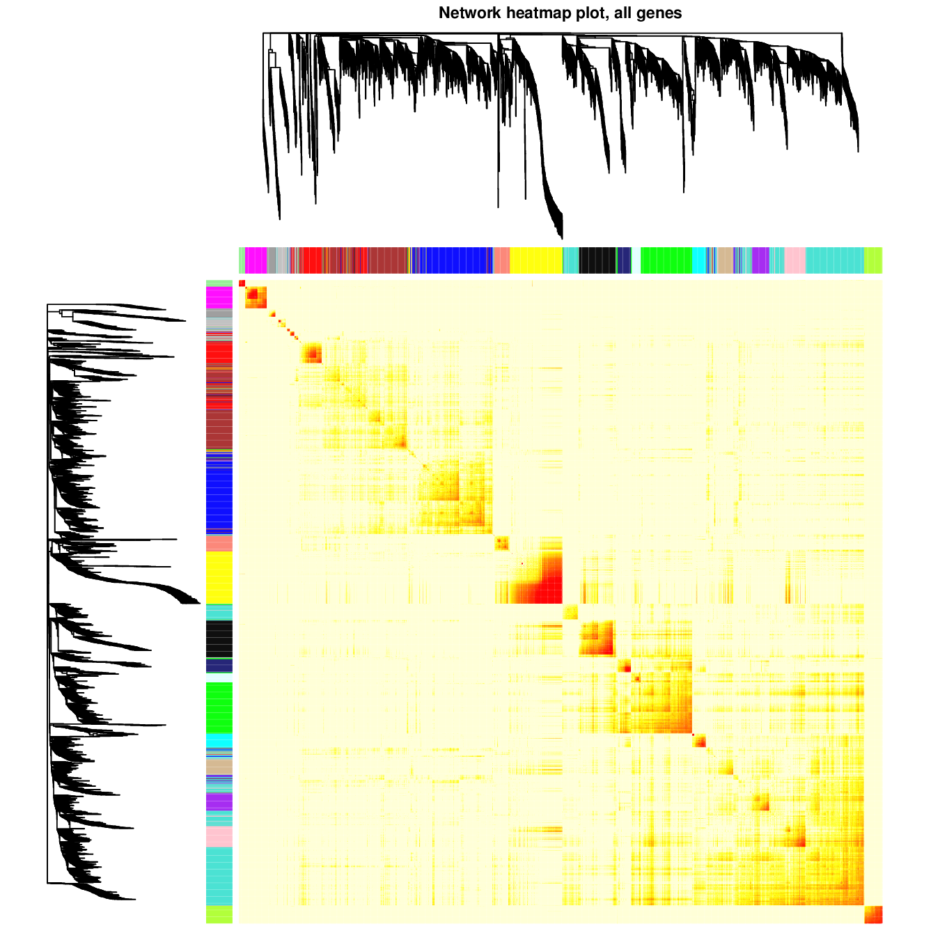 whole_network.png-743.7kB