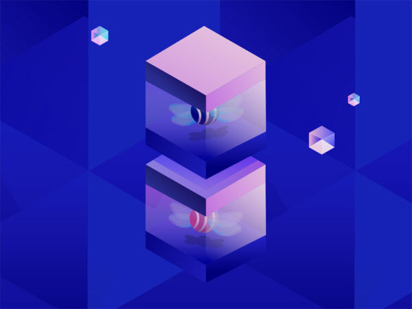 box